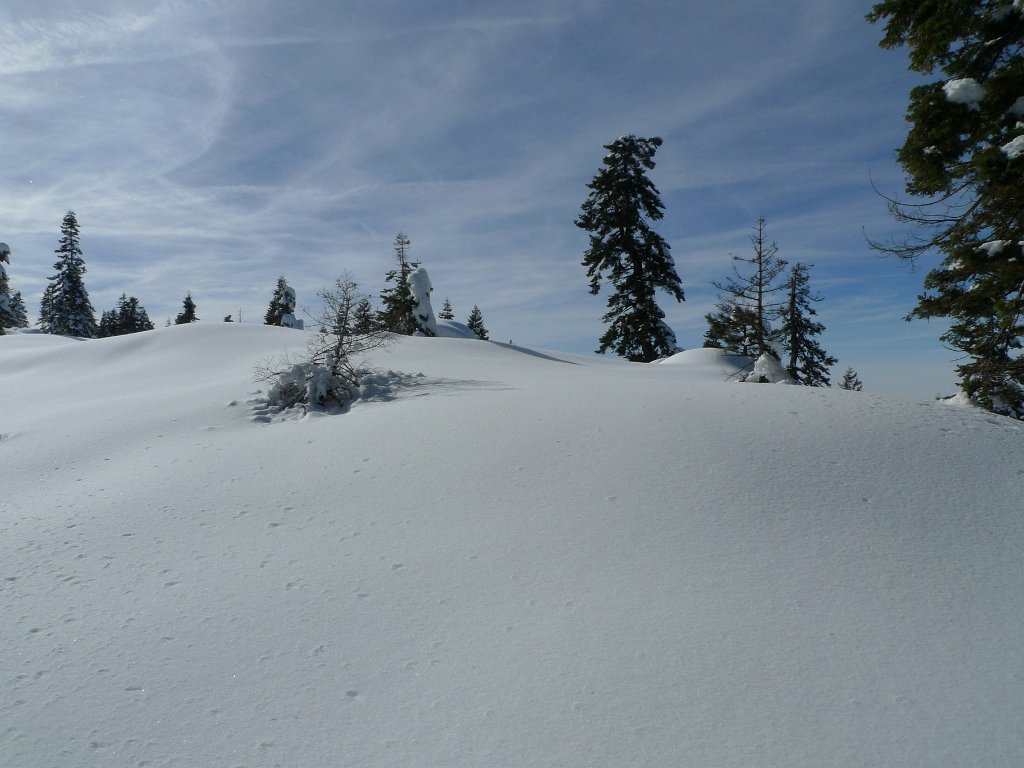 Christmas2010 048.JPG